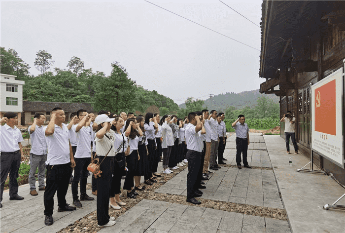 公司開(kāi)展“支部聯(lián)建謀奮進(jìn)，產(chǎn)業(yè)互鑒促發(fā)展”主題黨日活動(dòng)